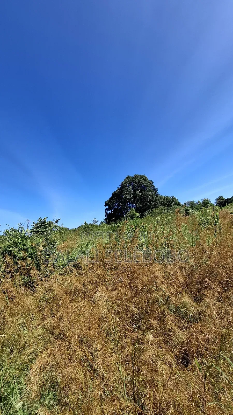 8hector Industry Plot at Kibaha Misugusugu in Visiga