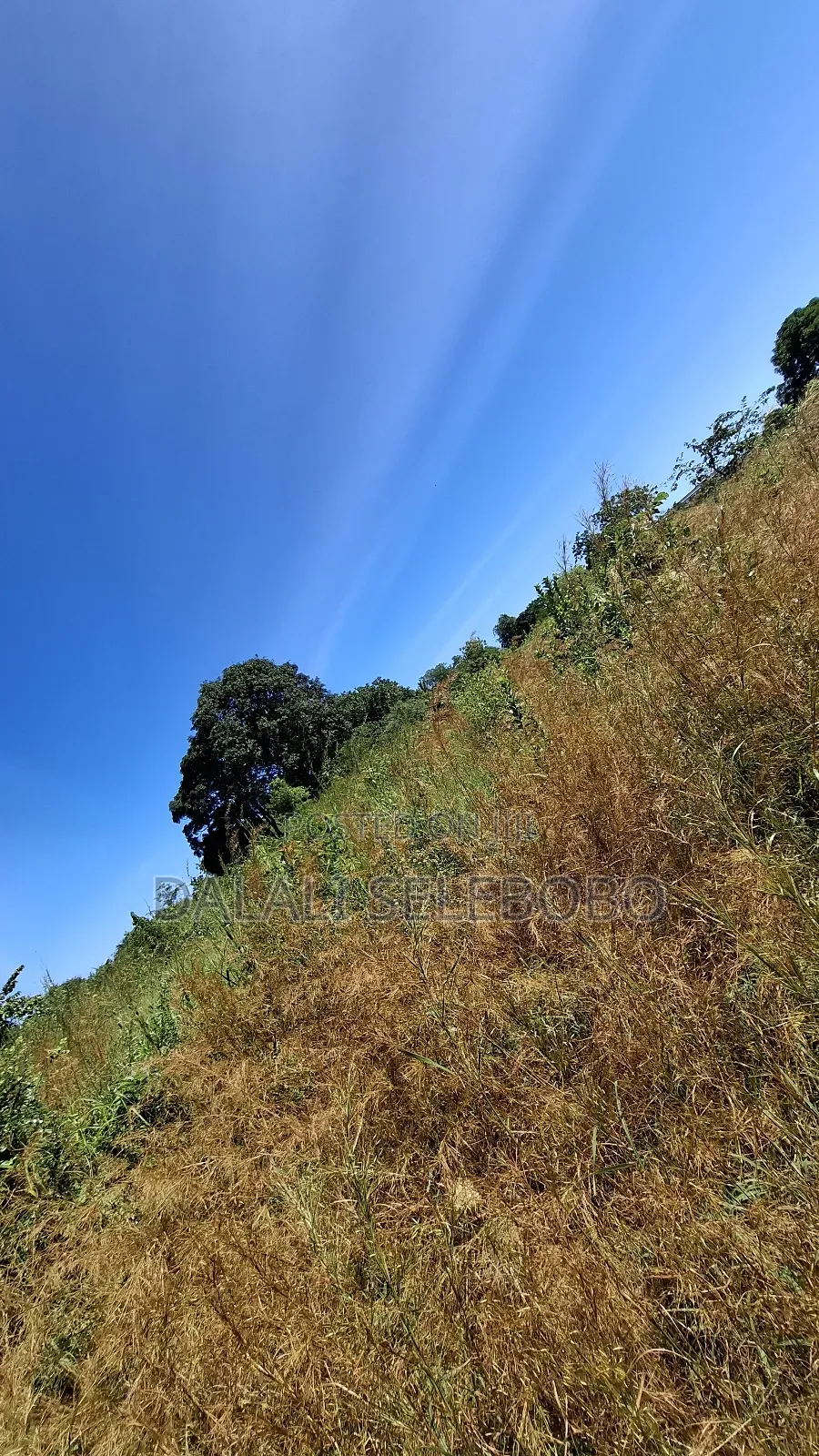8hector Industry Plot at Kibaha Misugusugu in Visiga