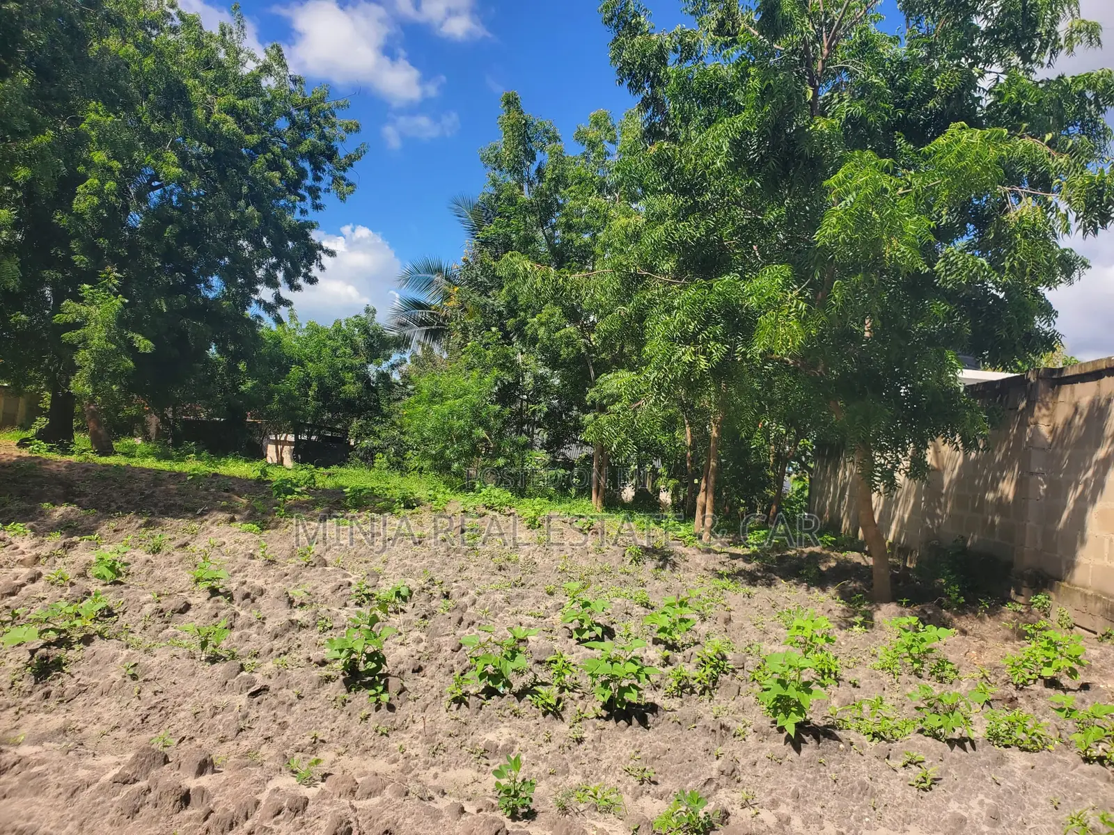 Eneo Linauzwa Goba Kulangwa in Goba