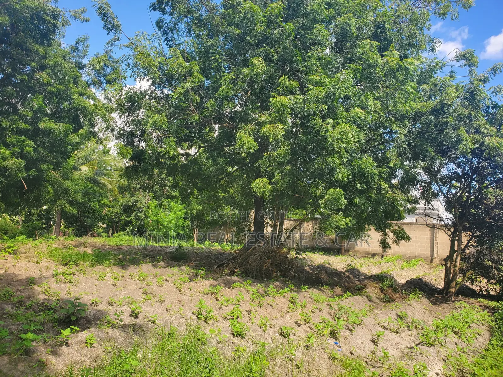 Eneo Linauzwa Goba Kulangwa in Goba