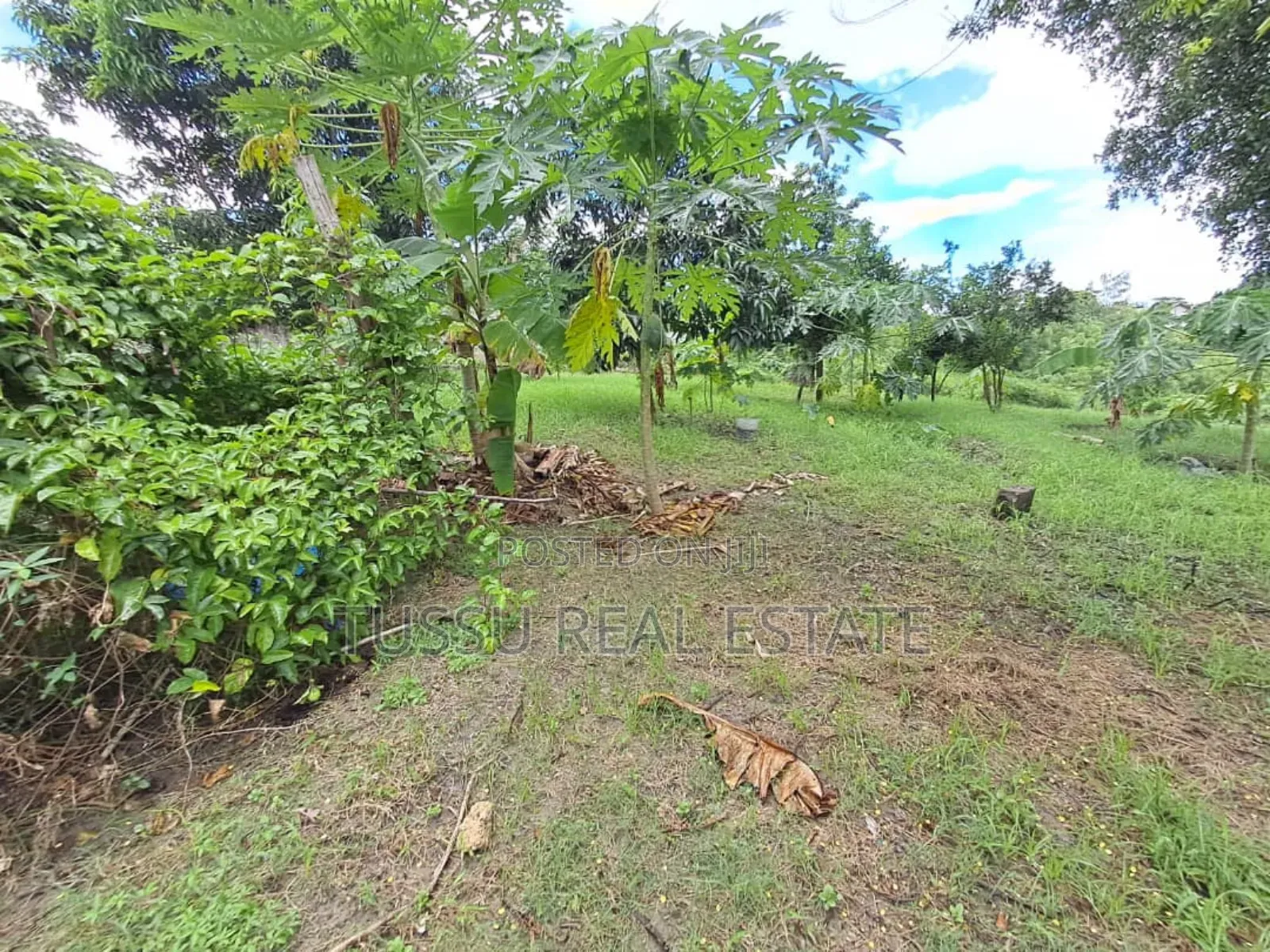 4bdrm House in Kibamba Shule Dsm for sale in Kibamba