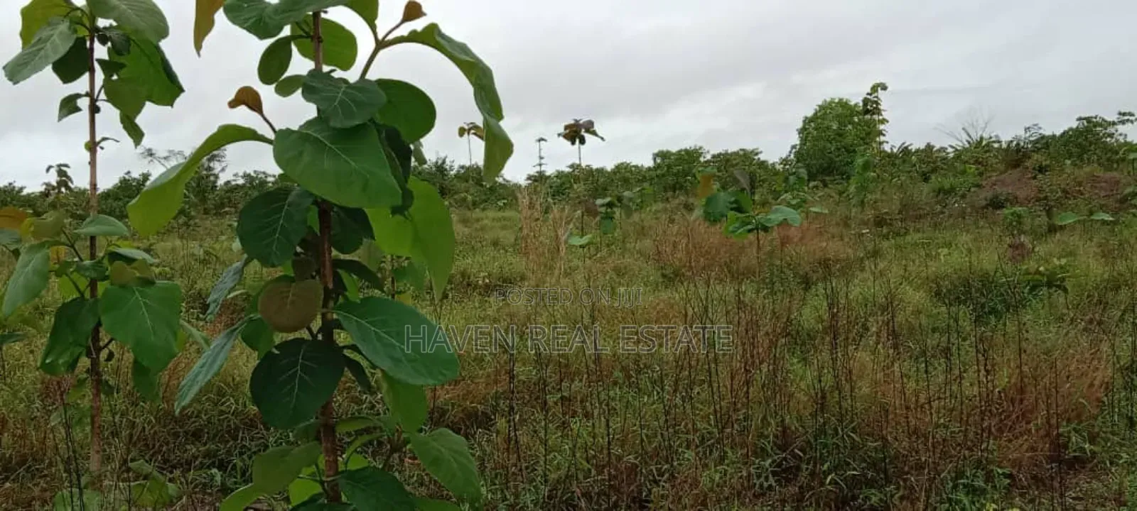 Eneo La Uwekezaji Linauzwa Mkuranga in Mkuranga