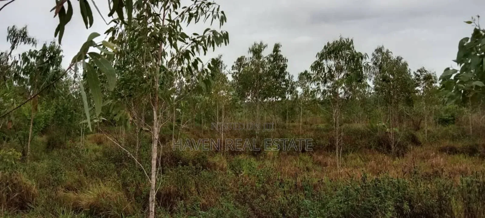 Eneo La Uwekezaji Linauzwa Mkuranga in Mkuranga