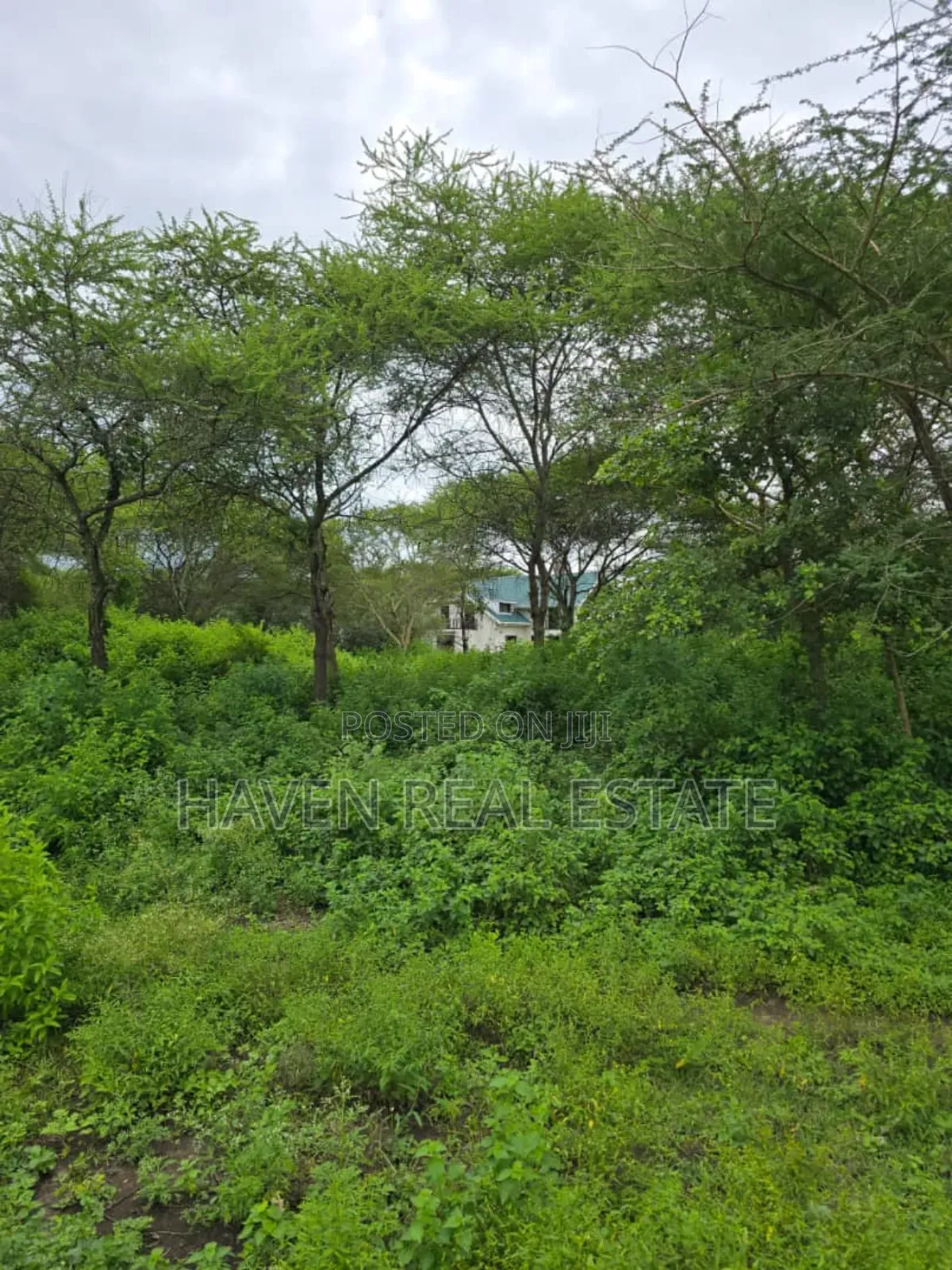 Shamba Linauzwa Usa River Arusha in Arusha
