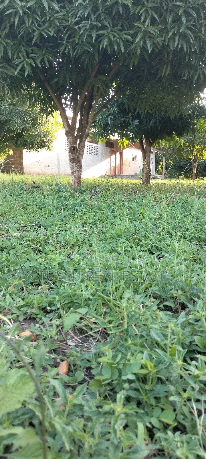 Ware House Land for Sale at Kibaha Kwa Mathias (3acres) in Kibaha