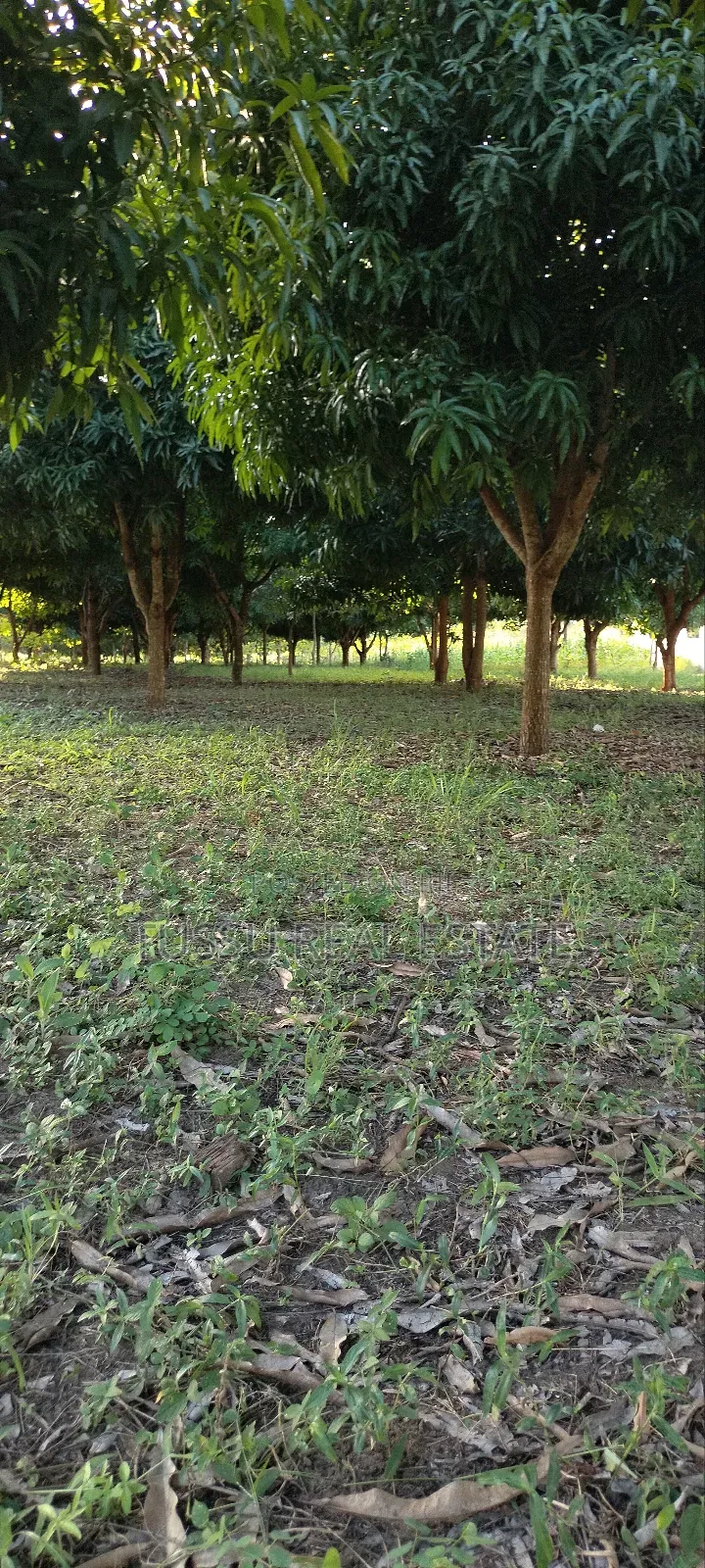 Ware House Land for Sale at Kibaha Kwa Mathias (3acres) in Kibaha