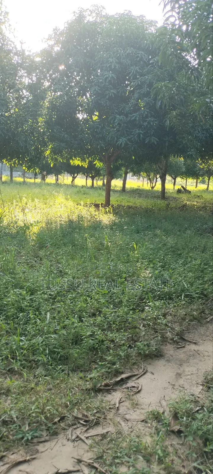 Ware House Land for Sale at Kibaha Kwa Mathias (3acres) in Kibaha