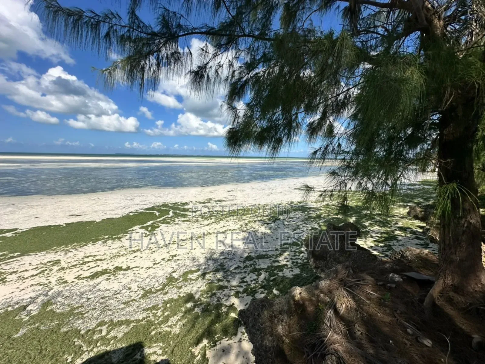 Beach Hotel for Sale at Zanzibar in Unguja North