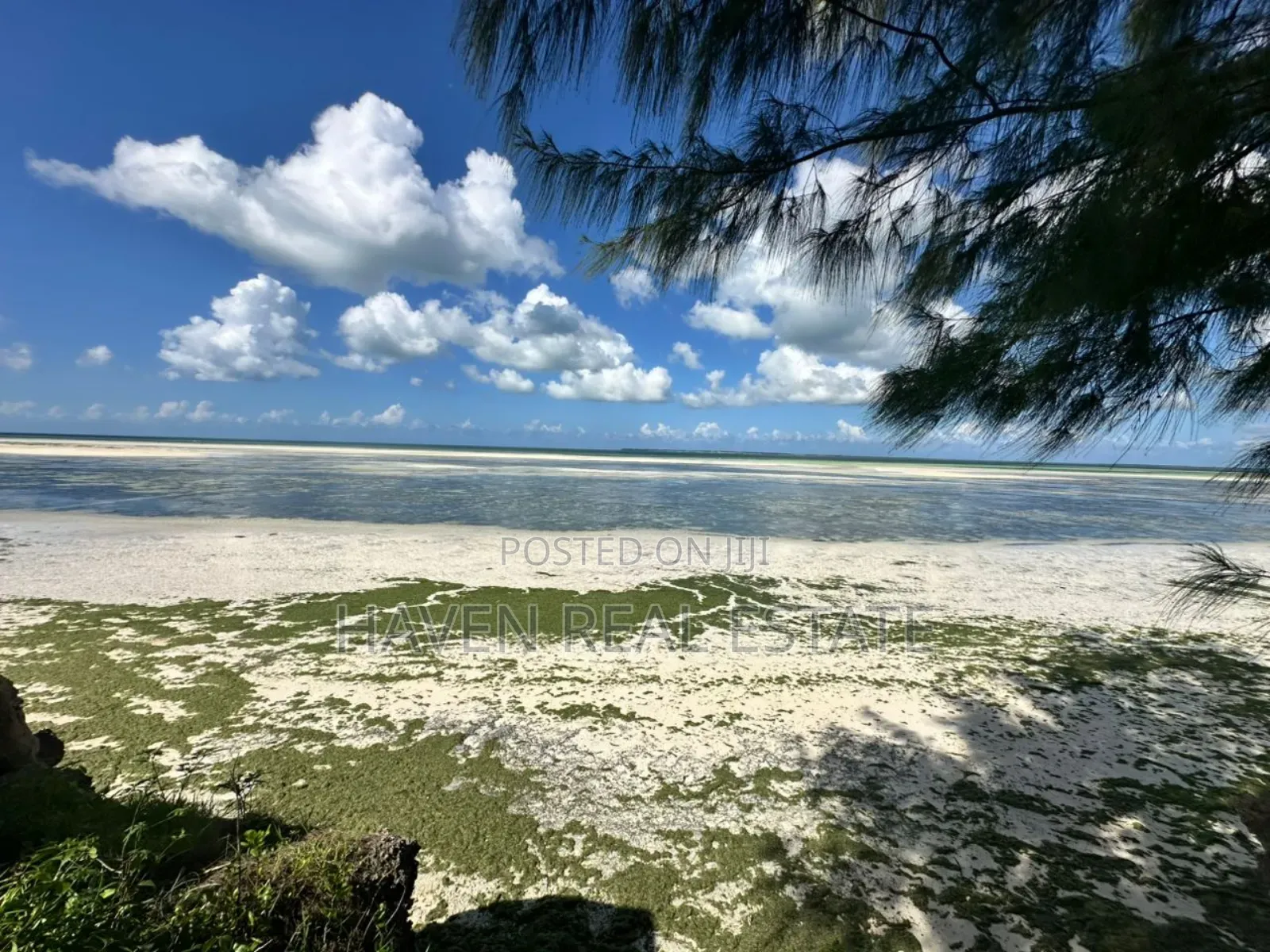 Beach Hotel for Sale at Zanzibar in Unguja North