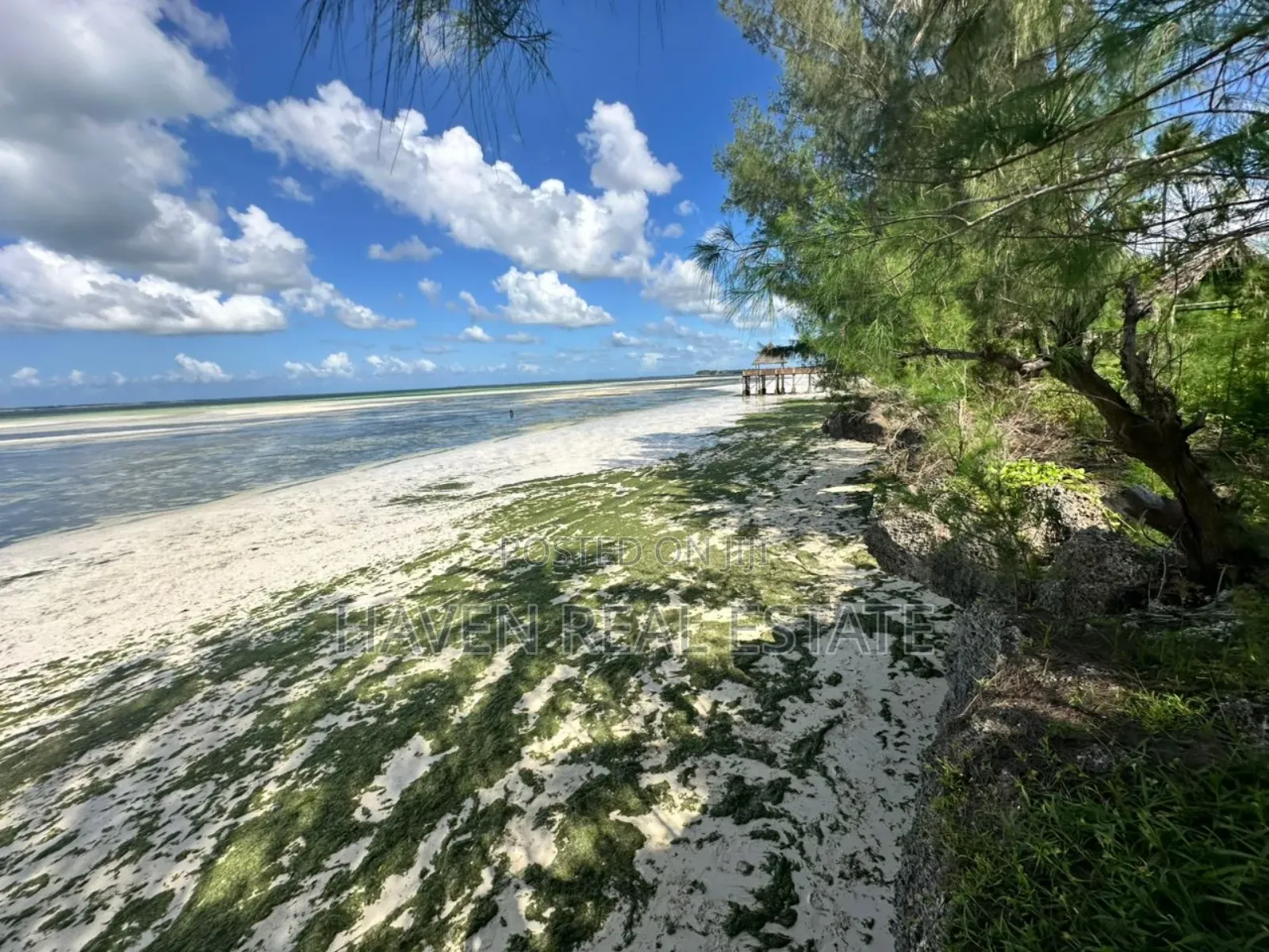 Beach Hotel for Sale at Zanzibar in Unguja North