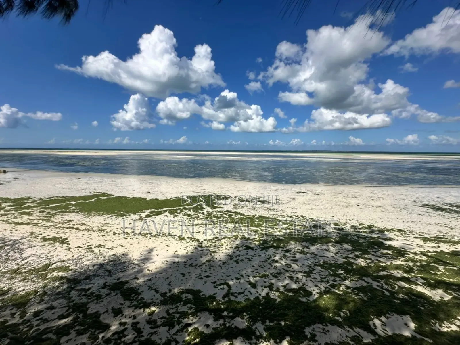 Beach Hotel for Sale at Zanzibar in Unguja North