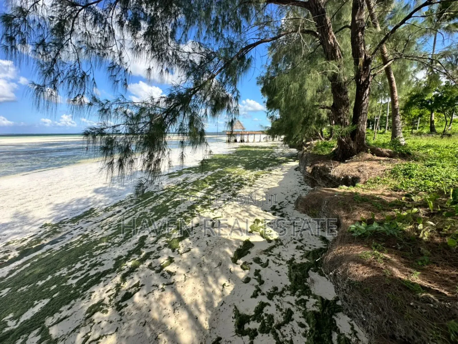 Beach Hotel for Sale at Zanzibar in Unguja North