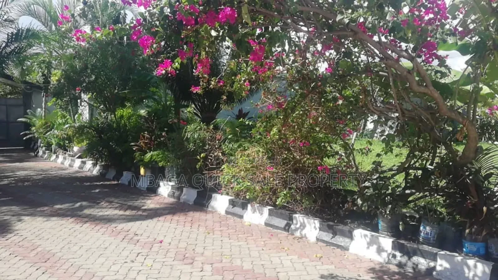 2bdrm Apartment in Regent Estate, Mikocheni for rent in Mikocheni