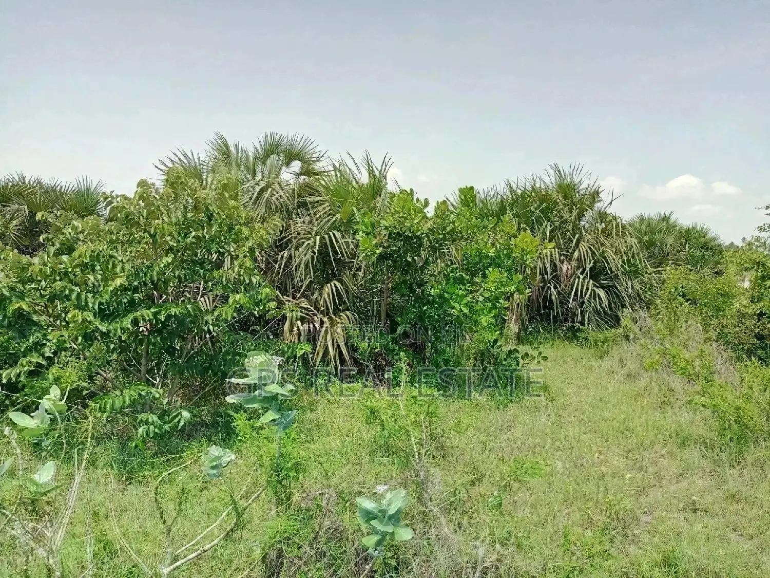 *#01 Plot for Sale in Kigamboni