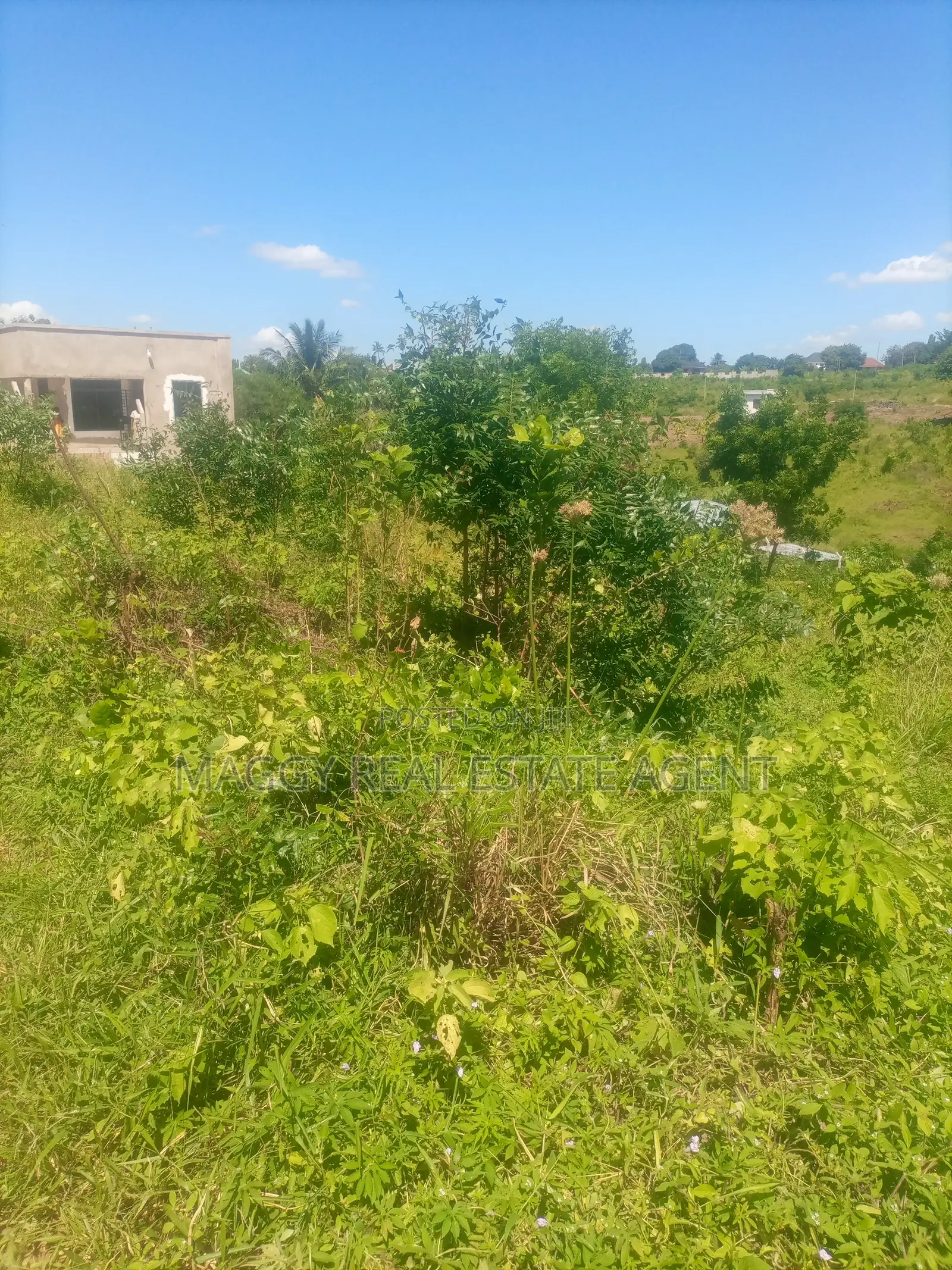 1040 SQMTS Plot, Bunju Beach in Bunju