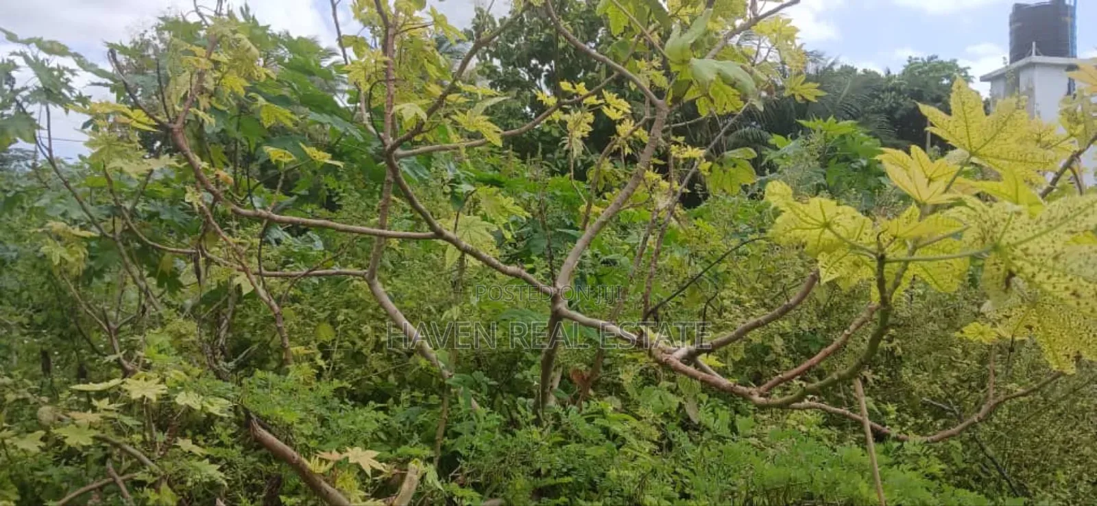 Second Line Beach Plot for Sale at Zanzibar in Unguja North