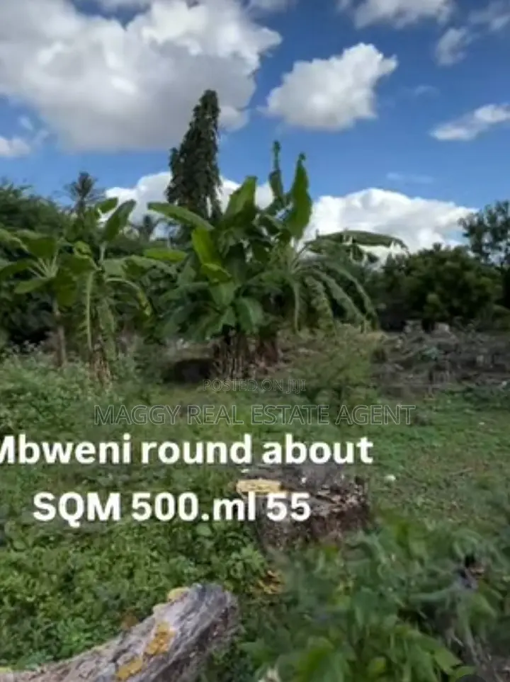 500 SQMTS Plot , Mbweni in Mbweni