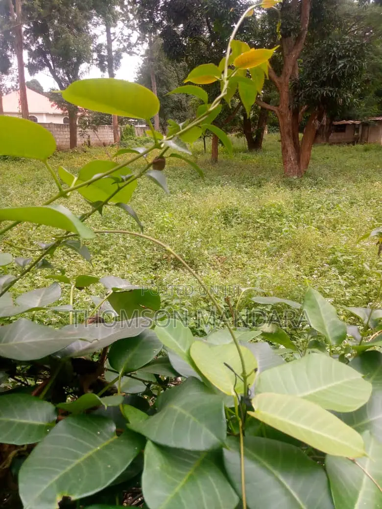 One Acre Plot at Shanty Town in Moshi Urban