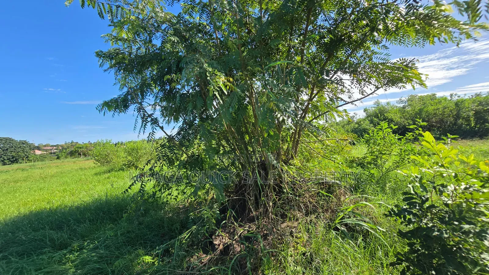 Plot for Sale at Bagamoyo Kilomo in Bagamoyo