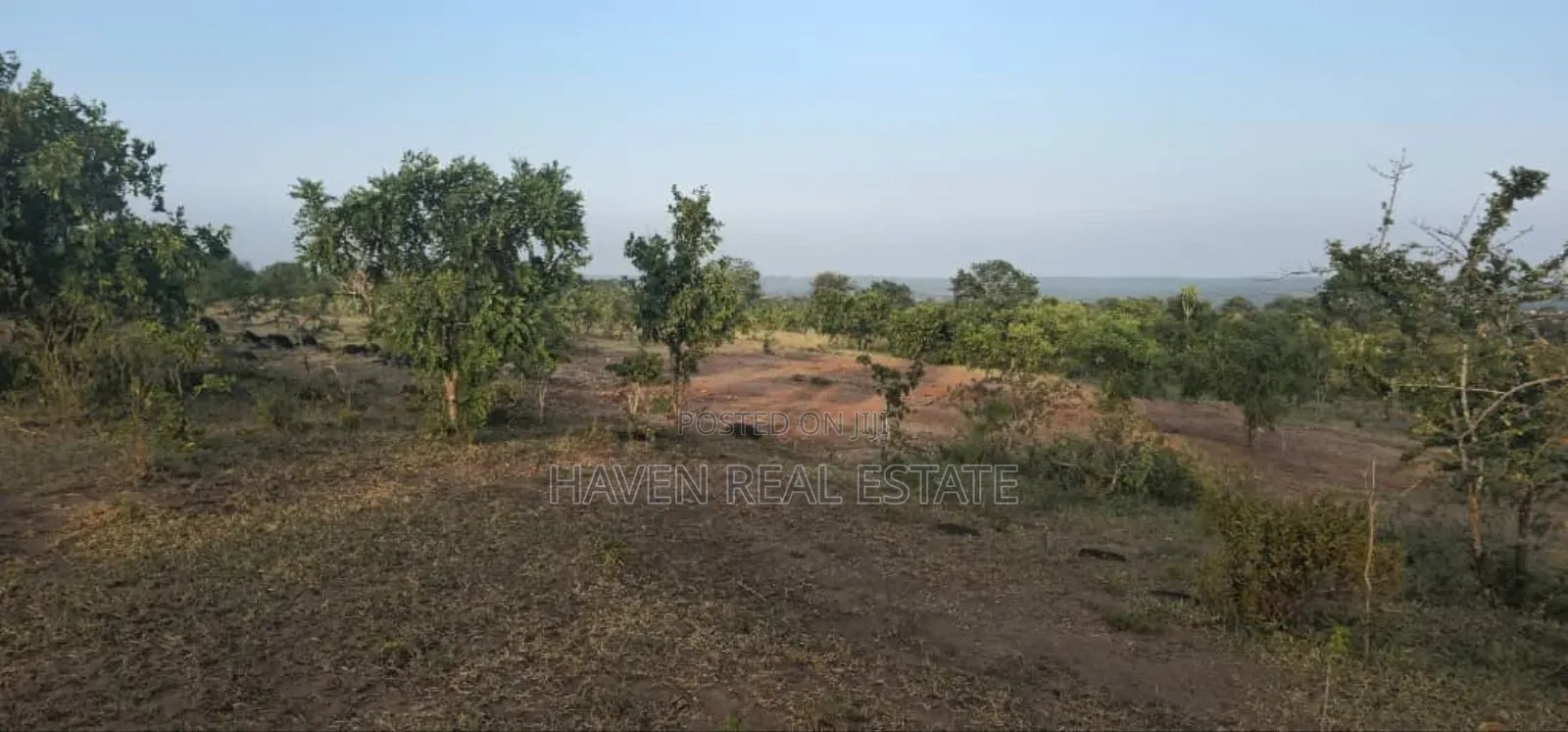 Commercial Plot Ekari 13 Imegusa Lami Inauzwa Morogoro in Morogoro Urban