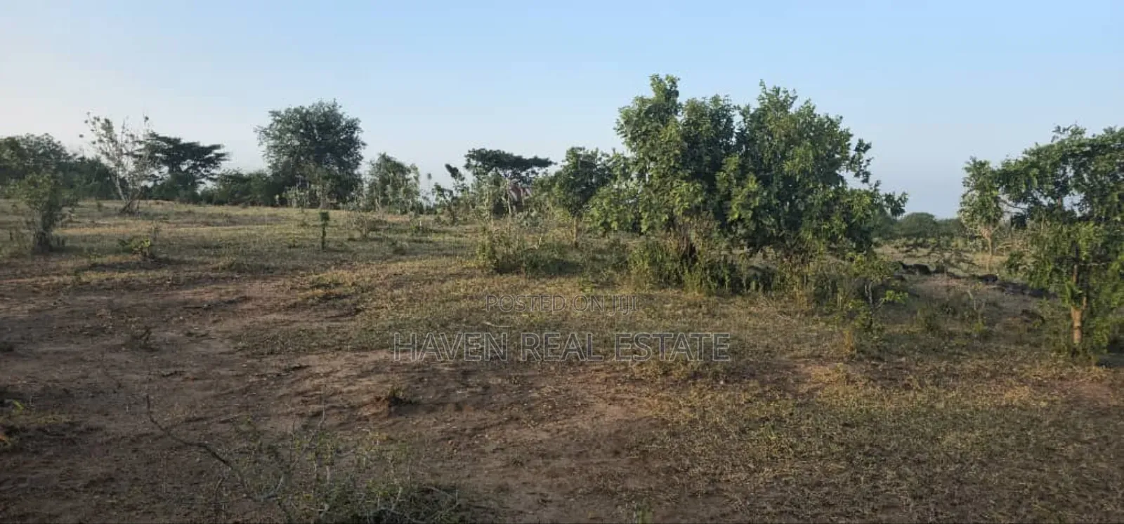 Commercial Plot Ekari 13 Imegusa Lami Inauzwa Morogoro in Morogoro Urban