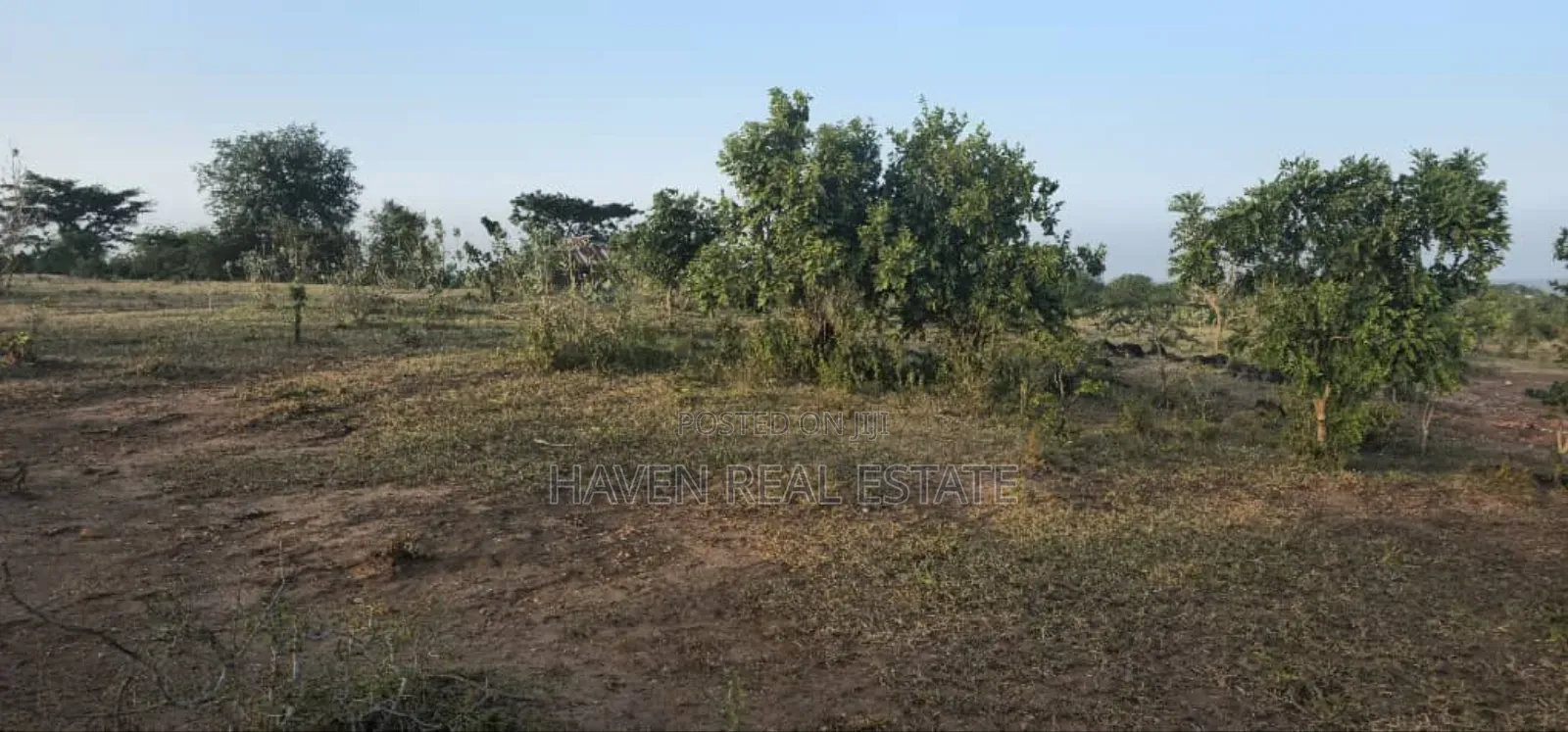 Commercial Plot Ekari 13 Imegusa Lami Inauzwa Morogoro in Morogoro Urban