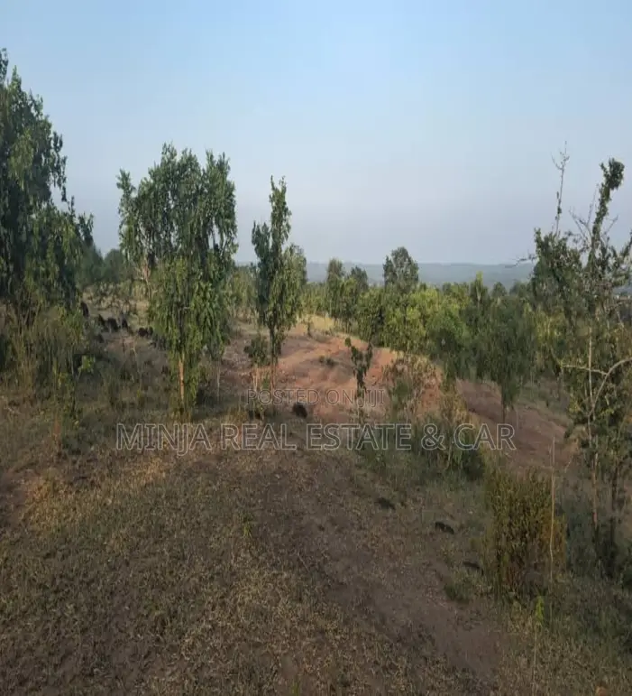 Plot for Sale Msamvu Morogoro Facing the Dar Es Salaam Road in Sabasaba