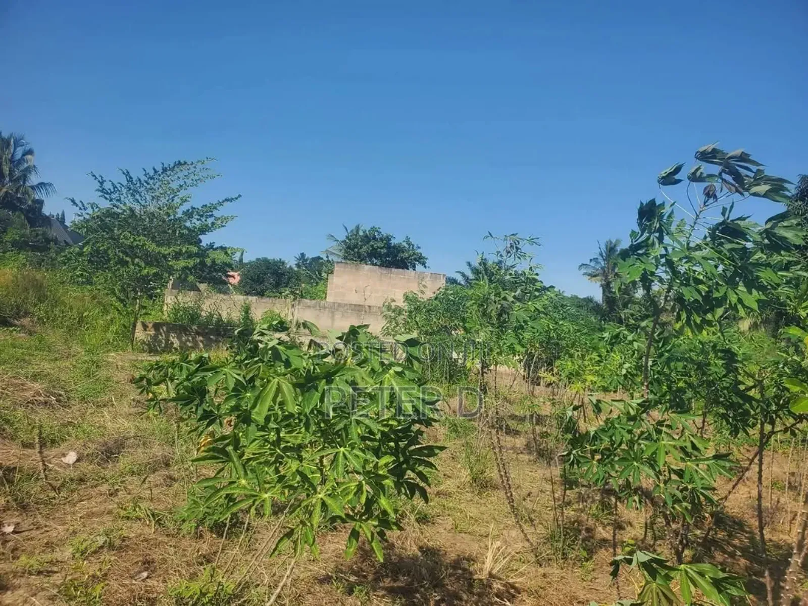 Kiwanja Mbezi Msumi Sqm560 in Mbezi