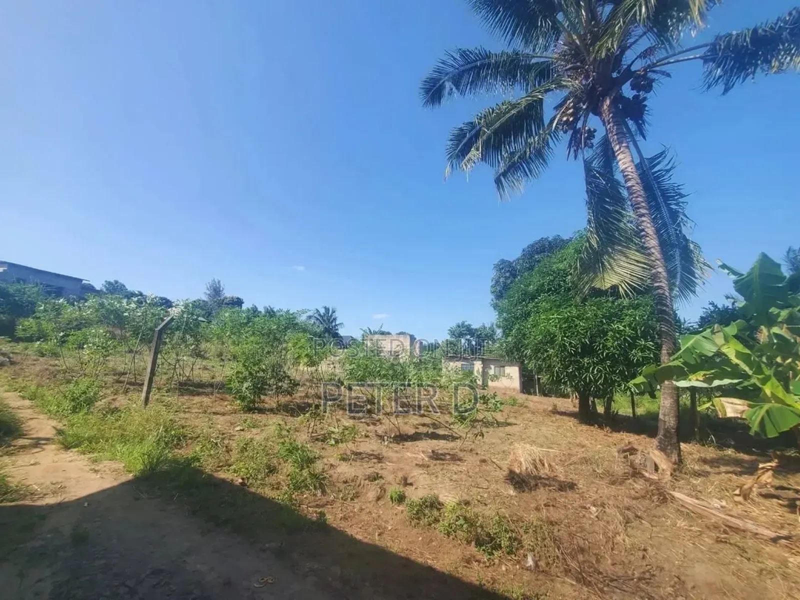 Kiwanja Mbezi Msumi Sqm560 in Mbezi