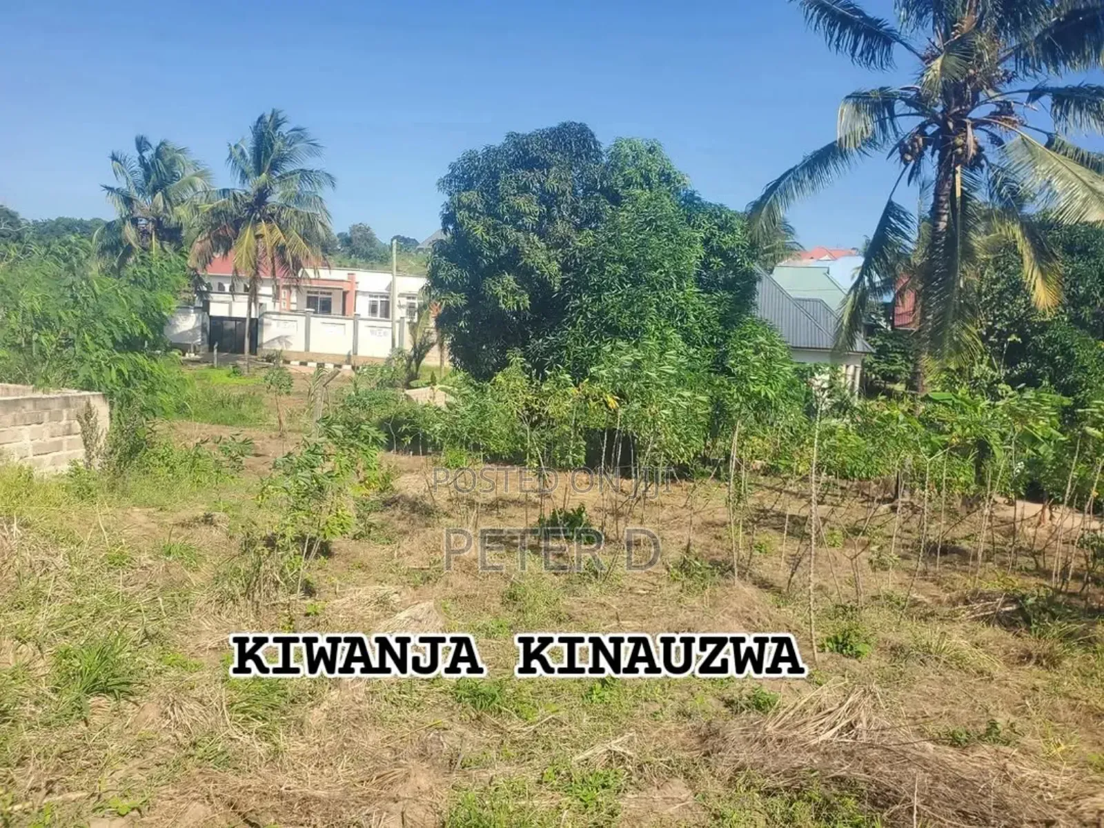 Kiwanja Mbezi Msumi Sqm560 in Mbezi