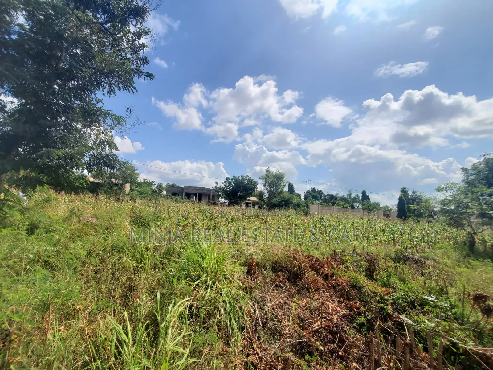 Kiwanja Kinauzwa Madale Kwa Mzungu in Goba