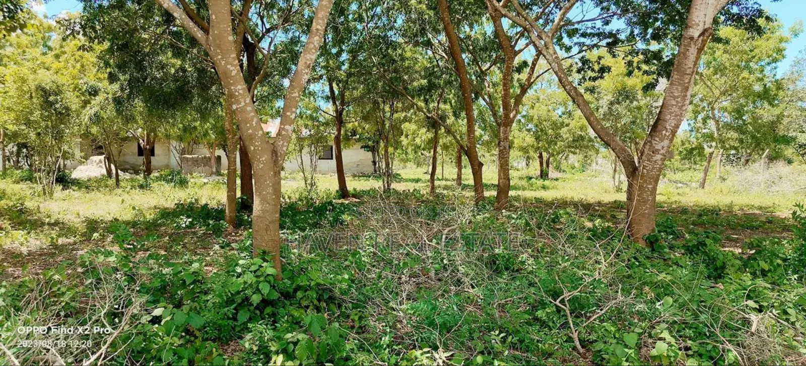 Beach Plot for Sale at Zanzibar in Unguja North