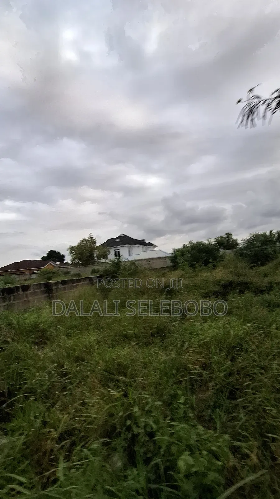 4hector It Look at Tarmac at Mapinga Bagamoyo in Bagamoyo