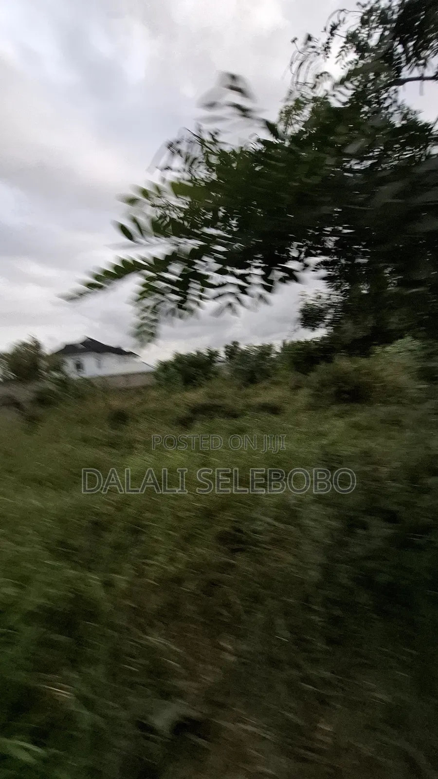 4hector It Look at Tarmac at Mapinga Bagamoyo in Bagamoyo