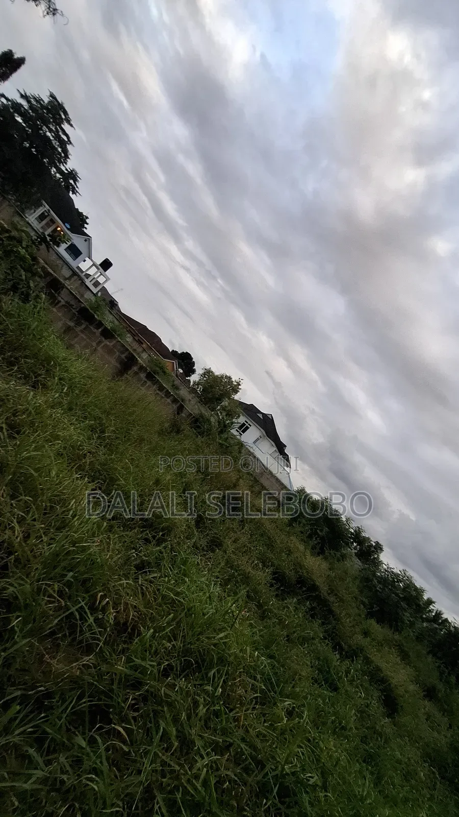 4hector It Look at Tarmac at Mapinga Bagamoyo in Bagamoyo