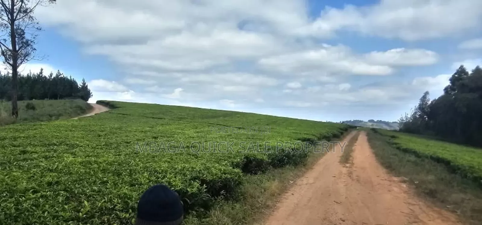 Plot With 119 Acres for Sale at Iringa Mufindi in Iringa