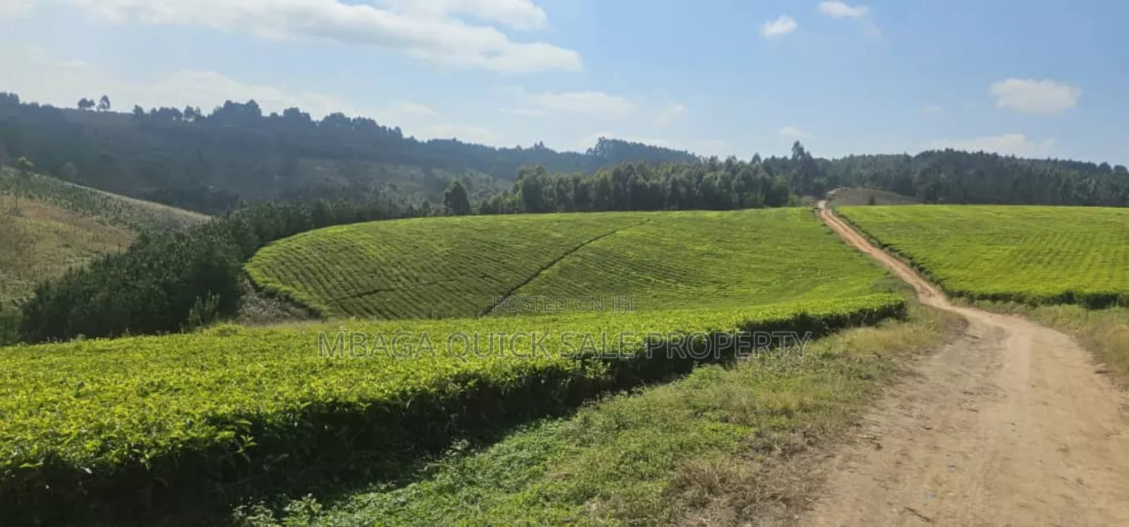 Plot With 119 Acres for Sale at Iringa Mufindi in Iringa