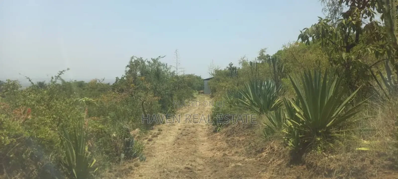 Eneo La Ekari 12 Linauzwa Barabara East Africa, Njiro-Arusha in Arusha