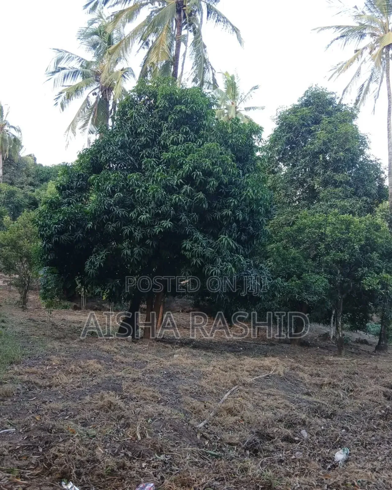 Kiwanja Kwa Ajili Ya Makazi in Tabata