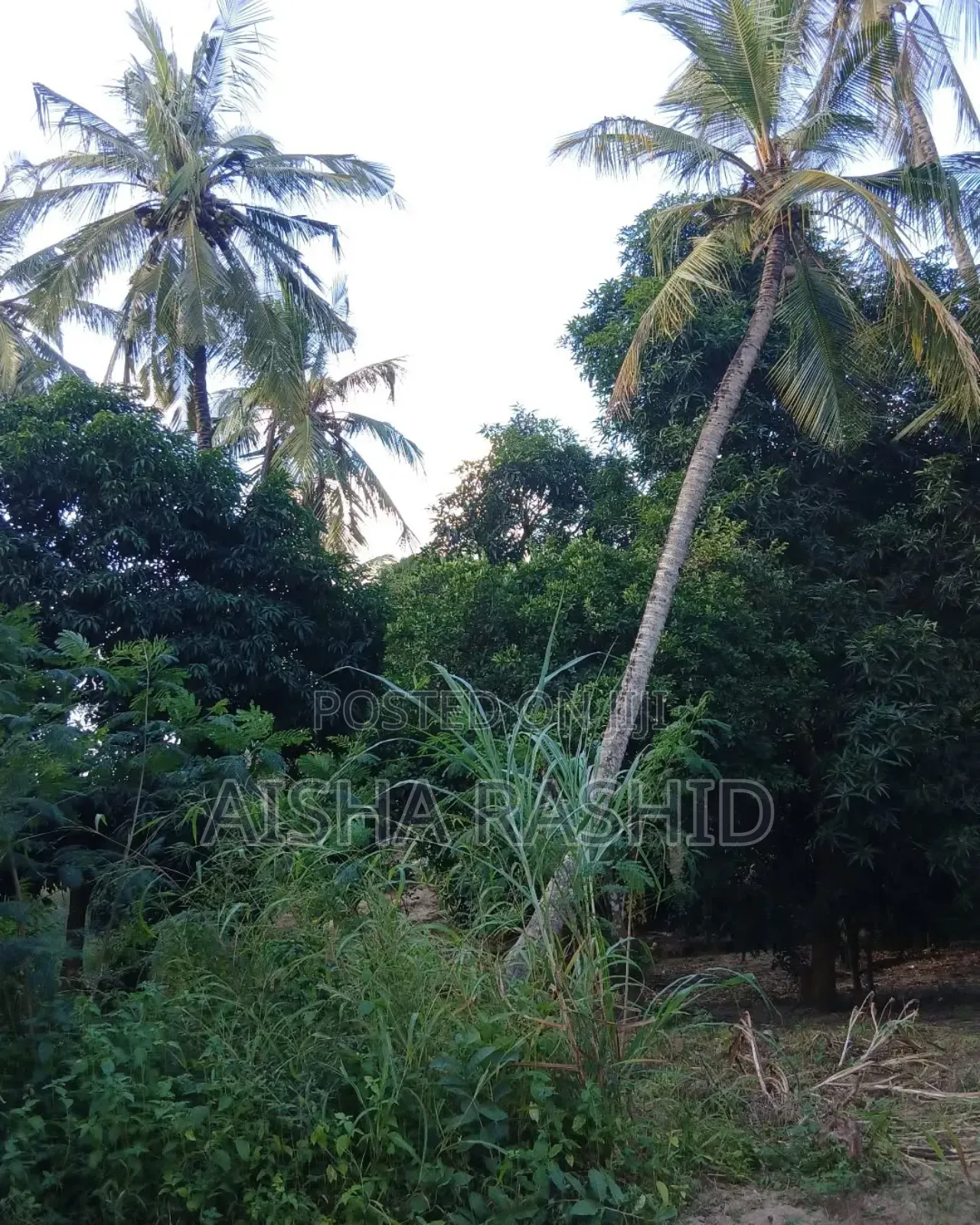 Kiwanja Kwa Ajili Ya Makazi in Tabata