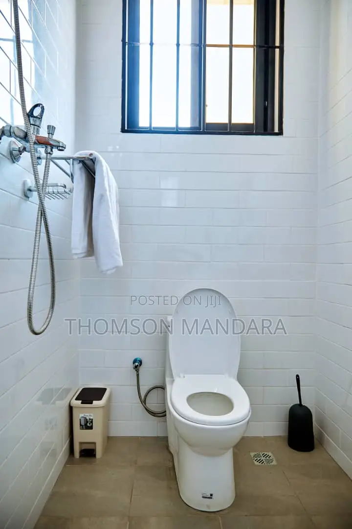 Furnished 2bdrm Apartment in Kunduchi for rent in Kunduchi