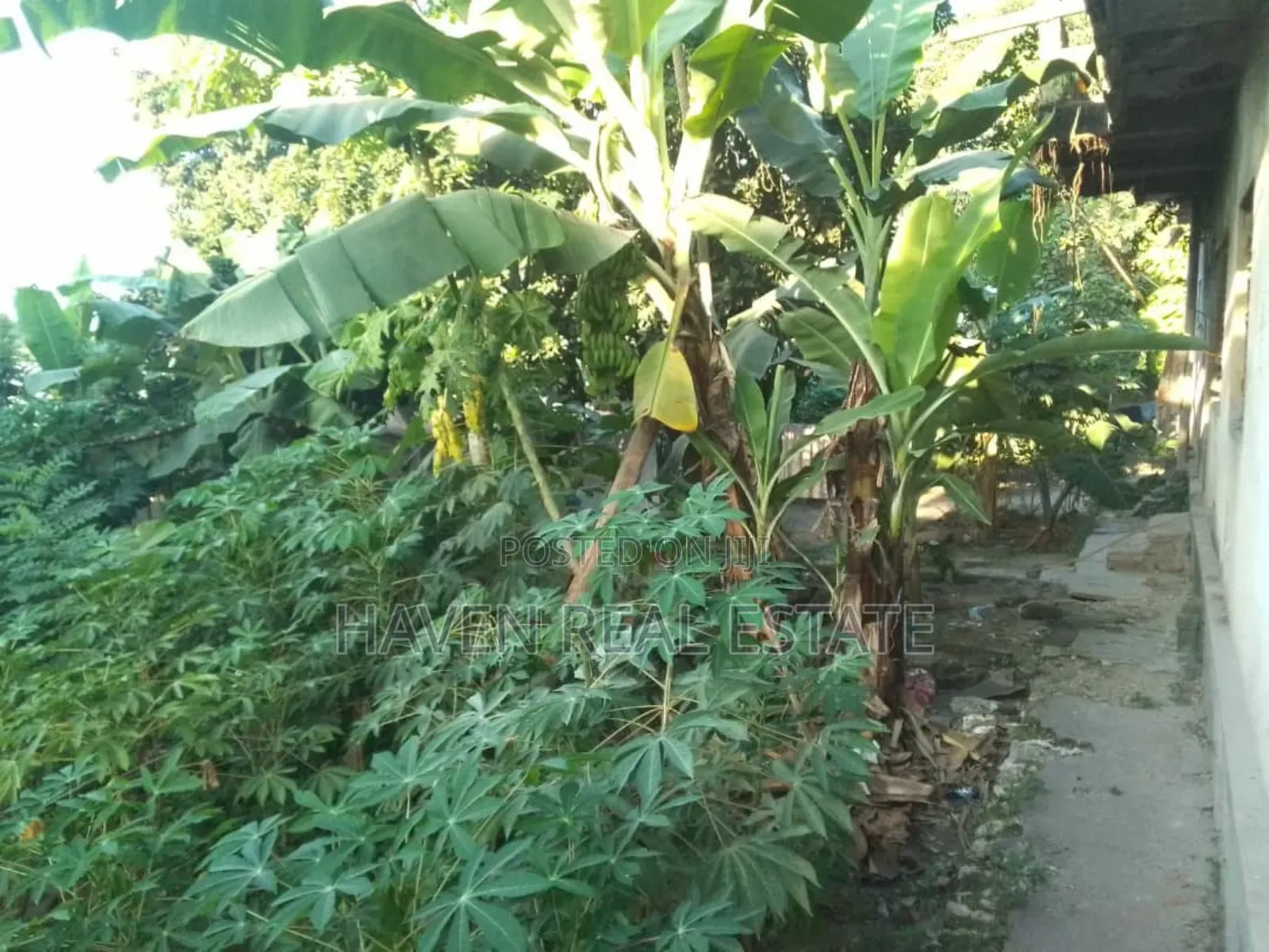 Eneo Linauzwa Zanzibar in Mjini Magharibi