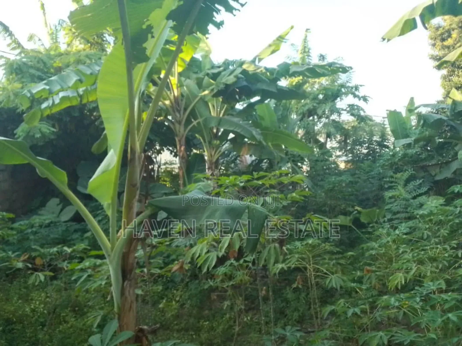 Eneo Linauzwa Zanzibar in Mjini Magharibi
