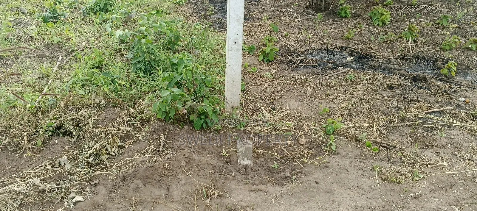 Plot for Sale in Masaki Chole Road in Masaki