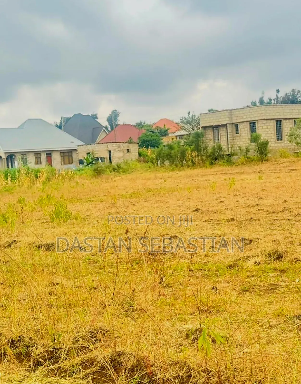 Kisongo Kuwahi Ndo Best in Arusha