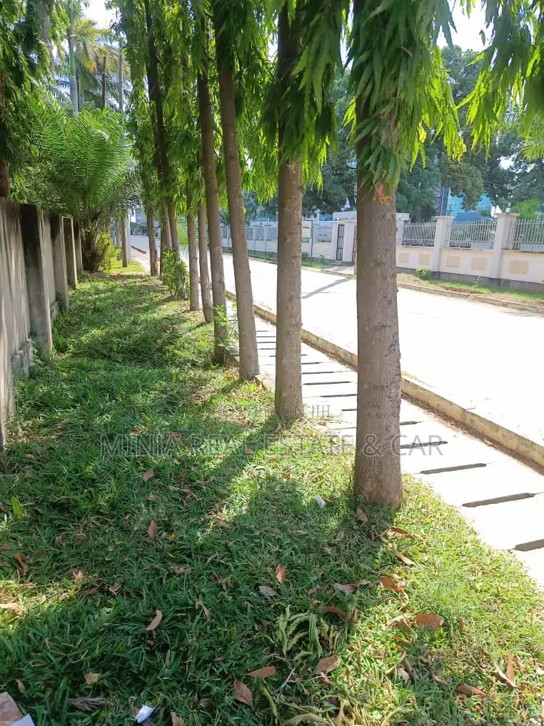 Investors, Cheap Plot for Sale in Uporoto Street, Kinondoni in Kinondoni