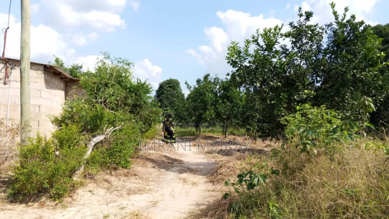 Mbezi Beach.Some Places Plot Sale in Mbezi Beach