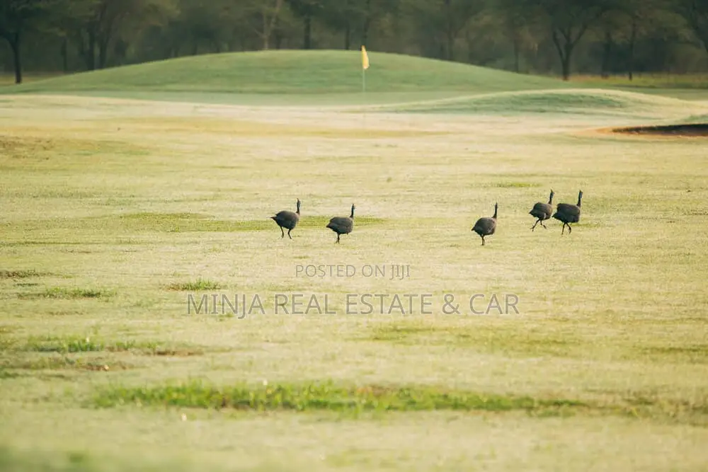 1 Acre for Sale in Kiligolf Estate in Arusha in Central Business Area