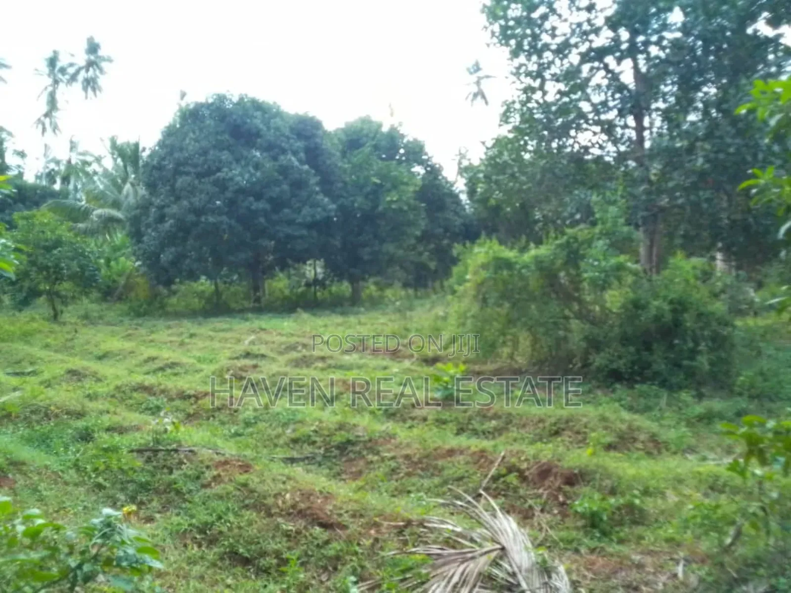 Land Farm for Sale at Zanzibar in Unguja North