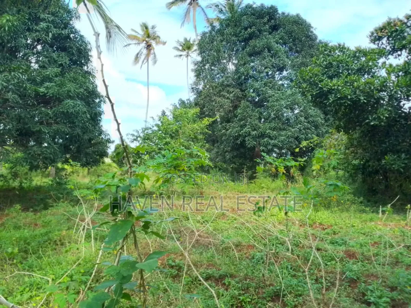 Land Farm for Sale at Zanzibar in Unguja North
